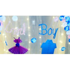 Baby Shower LED Curtains 