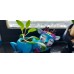 Beautiful Gang Cartoon Resin Planters Home Decor Set of 12