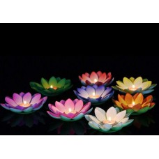 Floating lotus led lights 