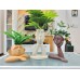 Human Head Shape Flower Vase Set of 3
