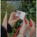 Customised Mini Album with 10 pics