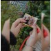 Customised Mini Album with 10 pics