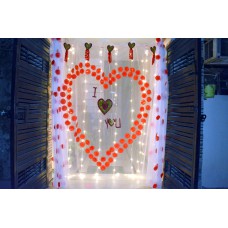 Valentine LED Curtain
